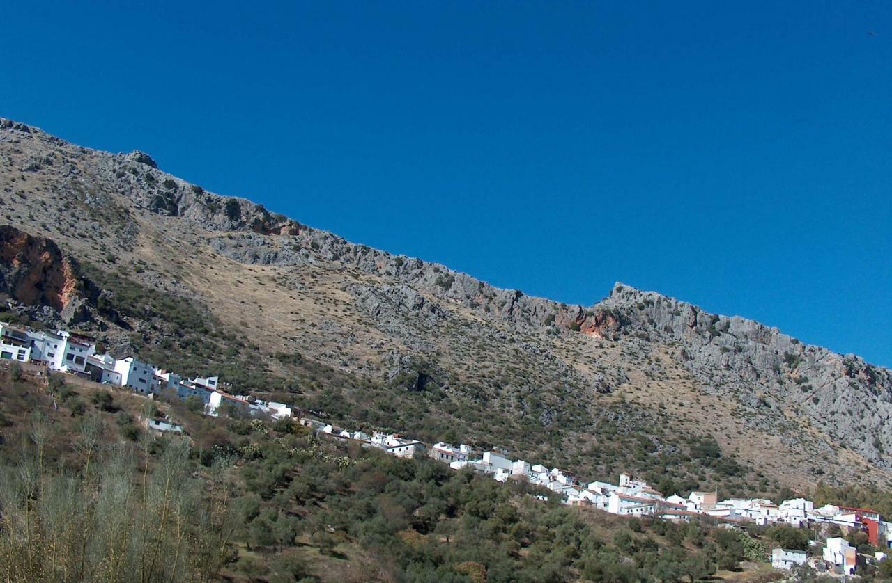 Benaoján Casitas Cueva Del Gatoヴィラ エクステリア 写真